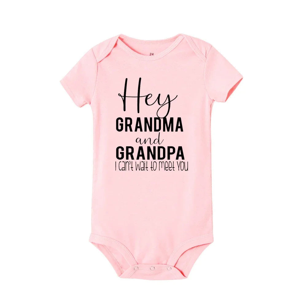 Hey Aunt I Can't Wait To Meet You Announcement Baby Bodysuit Summer Boy Girl Romper Pregnancy Reveal Clothes Infant Shower Gifts